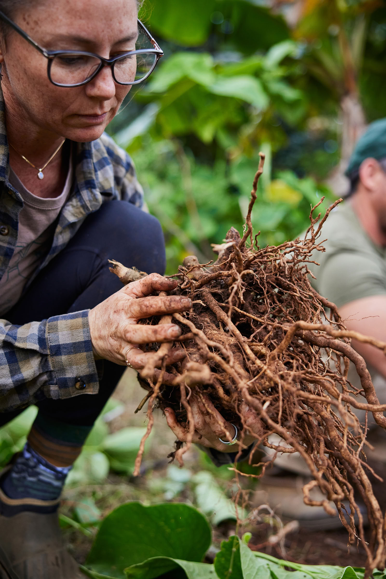 Farm Tour with Awa Ceremony & Pupus