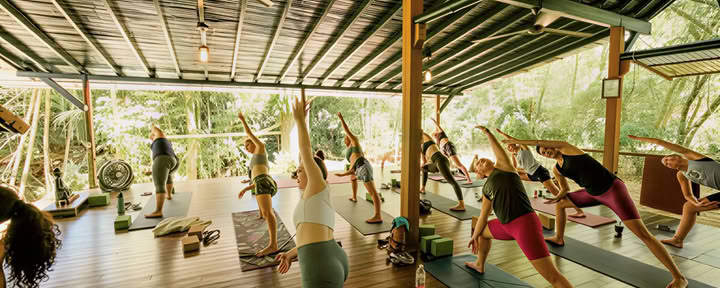 Turning Inward: Exploring the Wisdom of Ashtanga Yoga