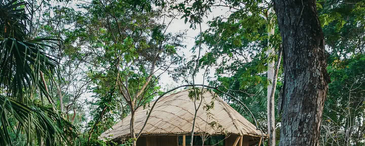 Back To Nature Yoga Retreat