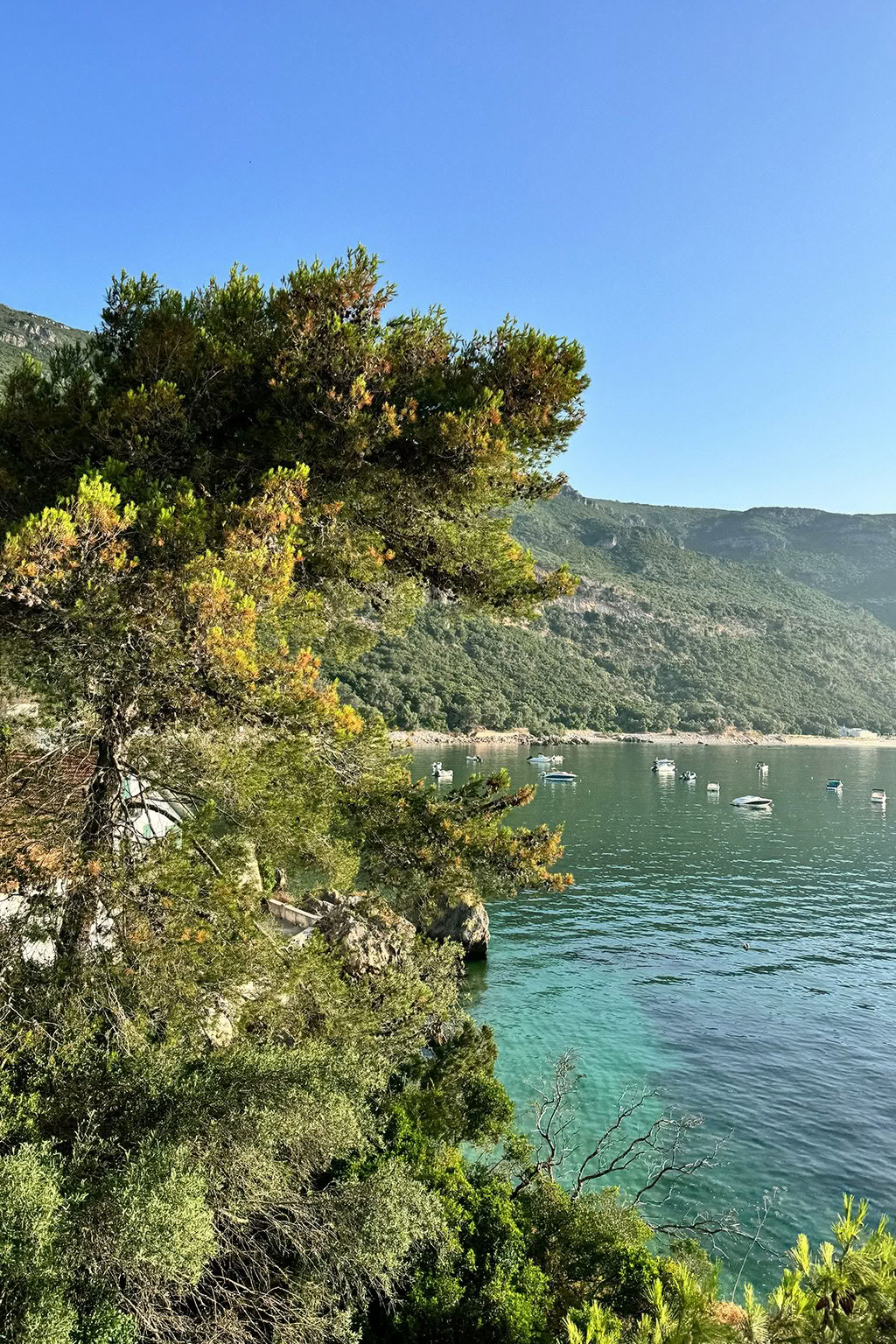 The Portugal retreat
