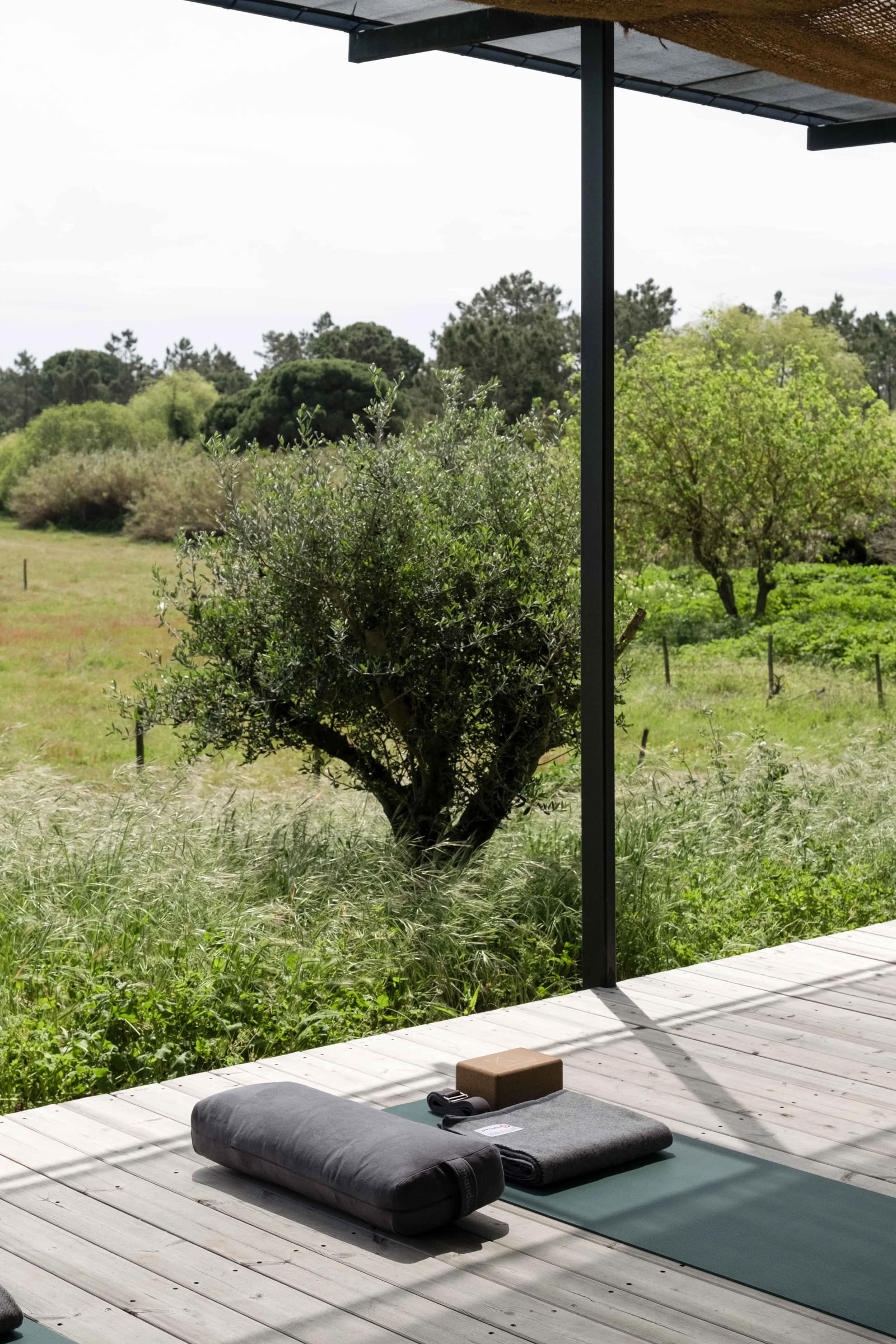ROOT & RISE: PORTUGAL YOGA RETREAT, SEPTEMBER 2026