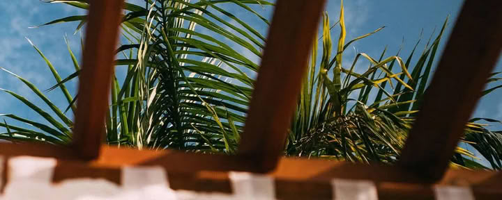 AG Yoga Retreats Costa Rica Retreat with Alyssa Dasso & Gudrun Bjarnadottir