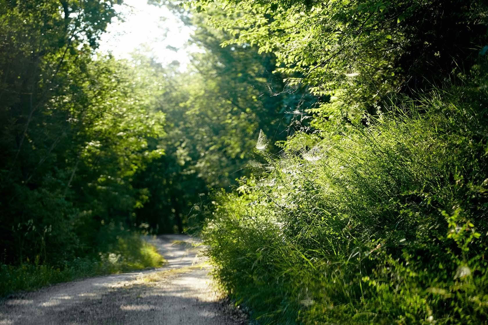 8 Day Luxury Yoga & Wellness Retreat in Umbria, Italy