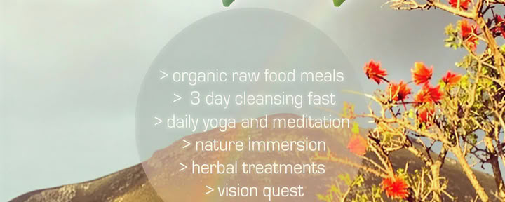 THE WHOLE TRUTH RETREAT: TRUE NATURE