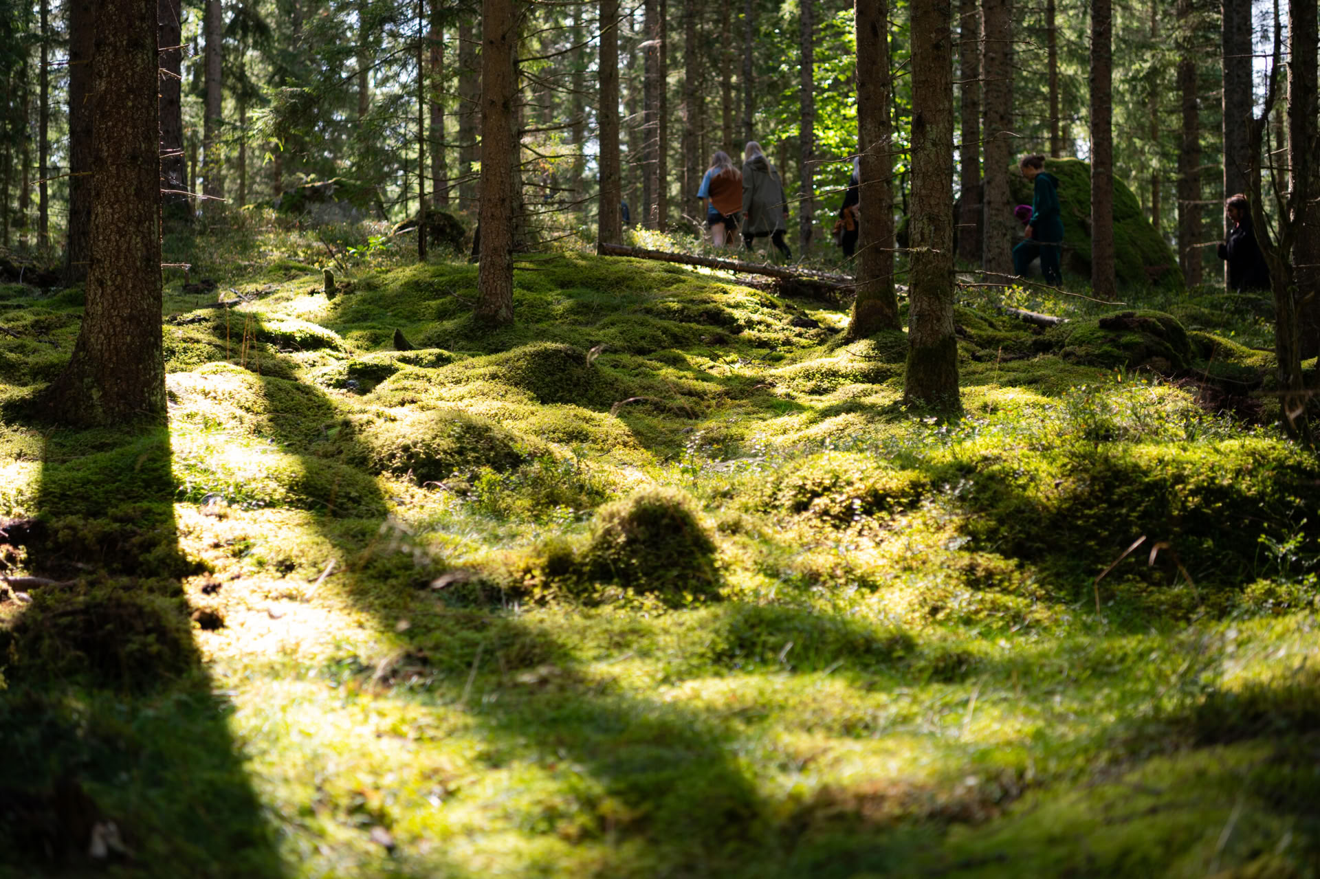 NOR: yogaretreat i Sverige