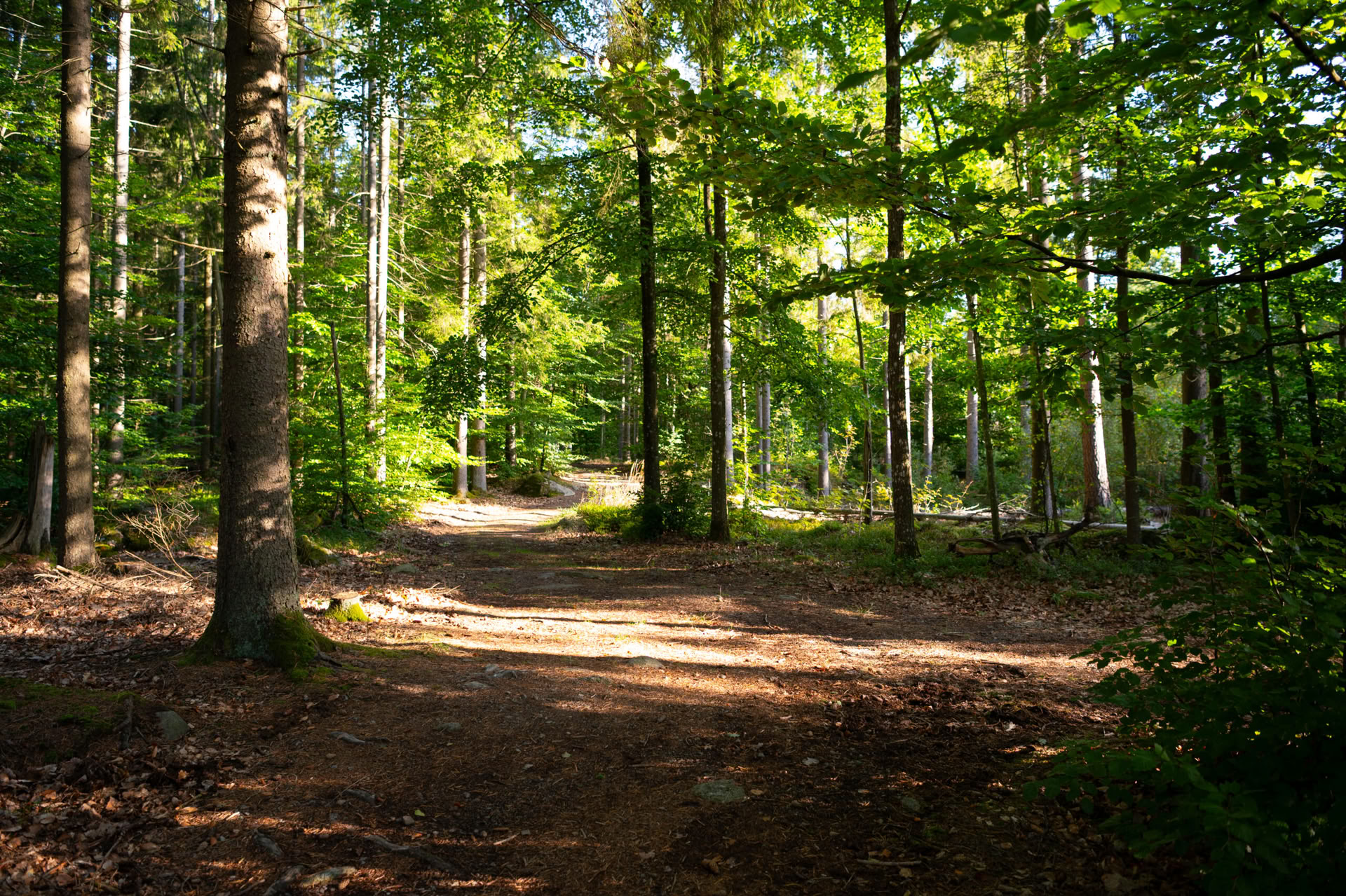 NOR: yogaretreat i Sverige