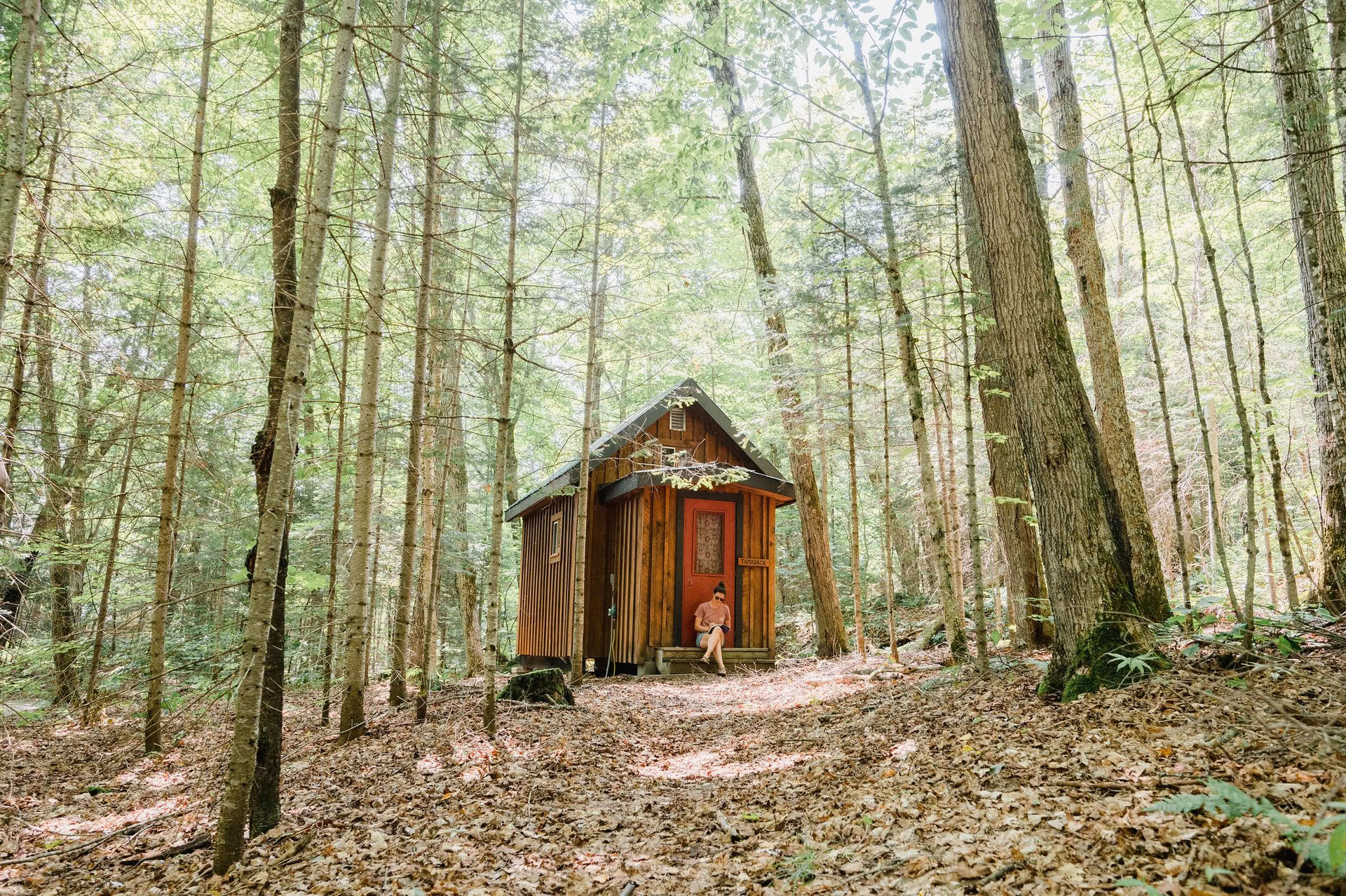 Evolve: The Art of Facilitation | Leadership Workshop