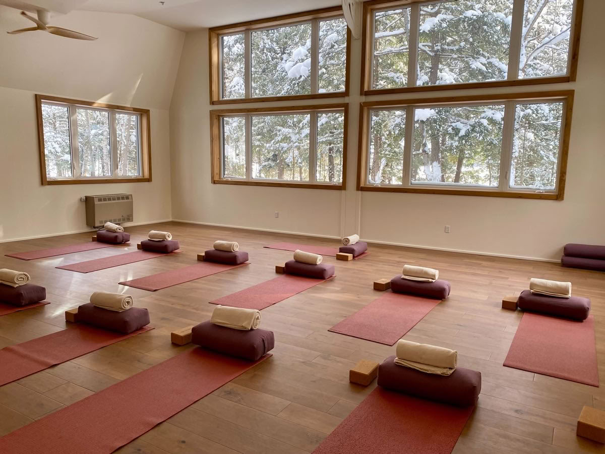 Connect with the Wild Retreat