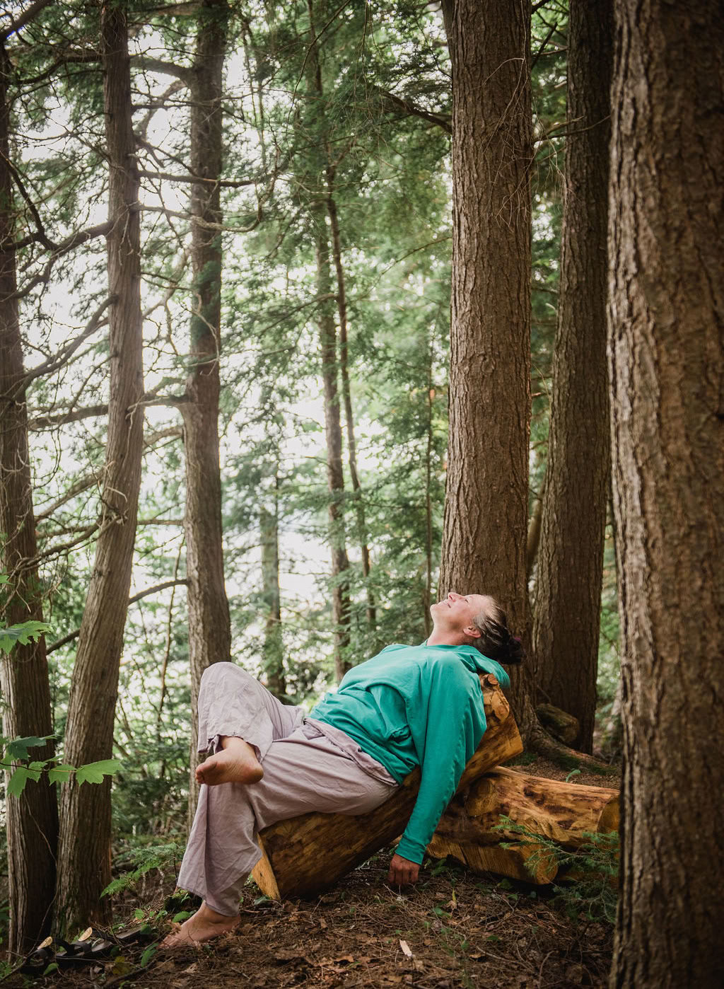 Connect with the Wild Retreat