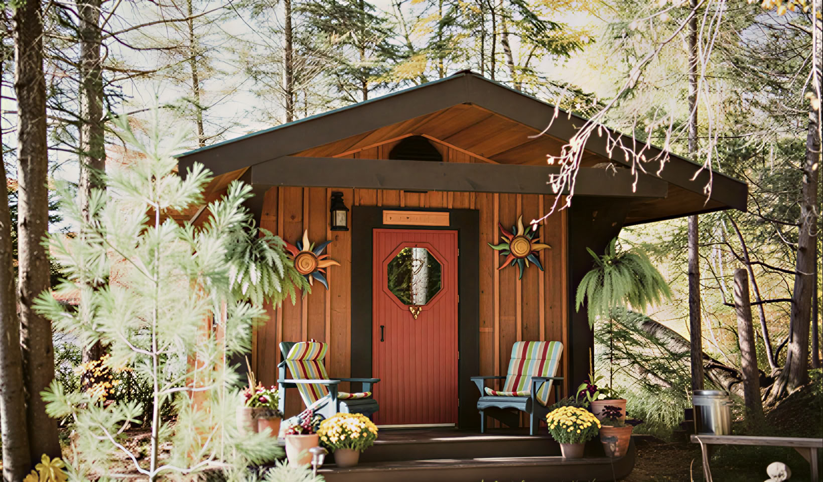 Connect with the Wild Retreat