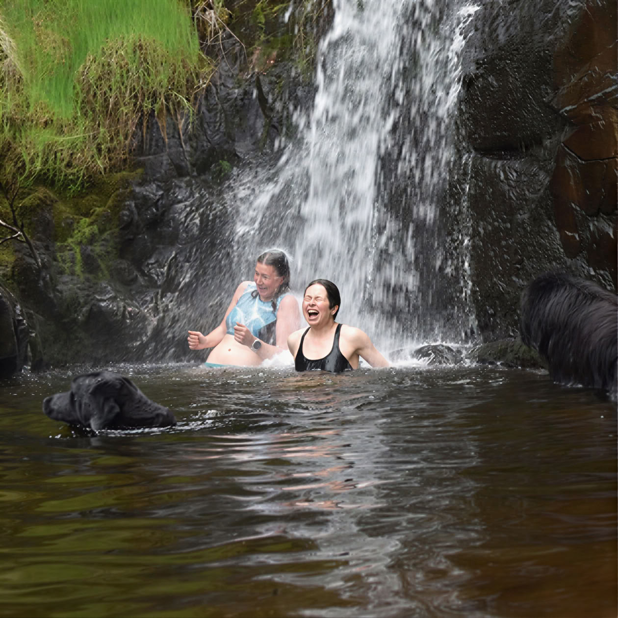 Wild Swim Retreat