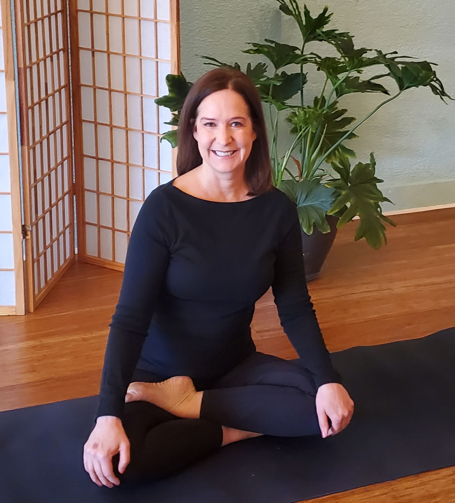 Sun Salutation Basics