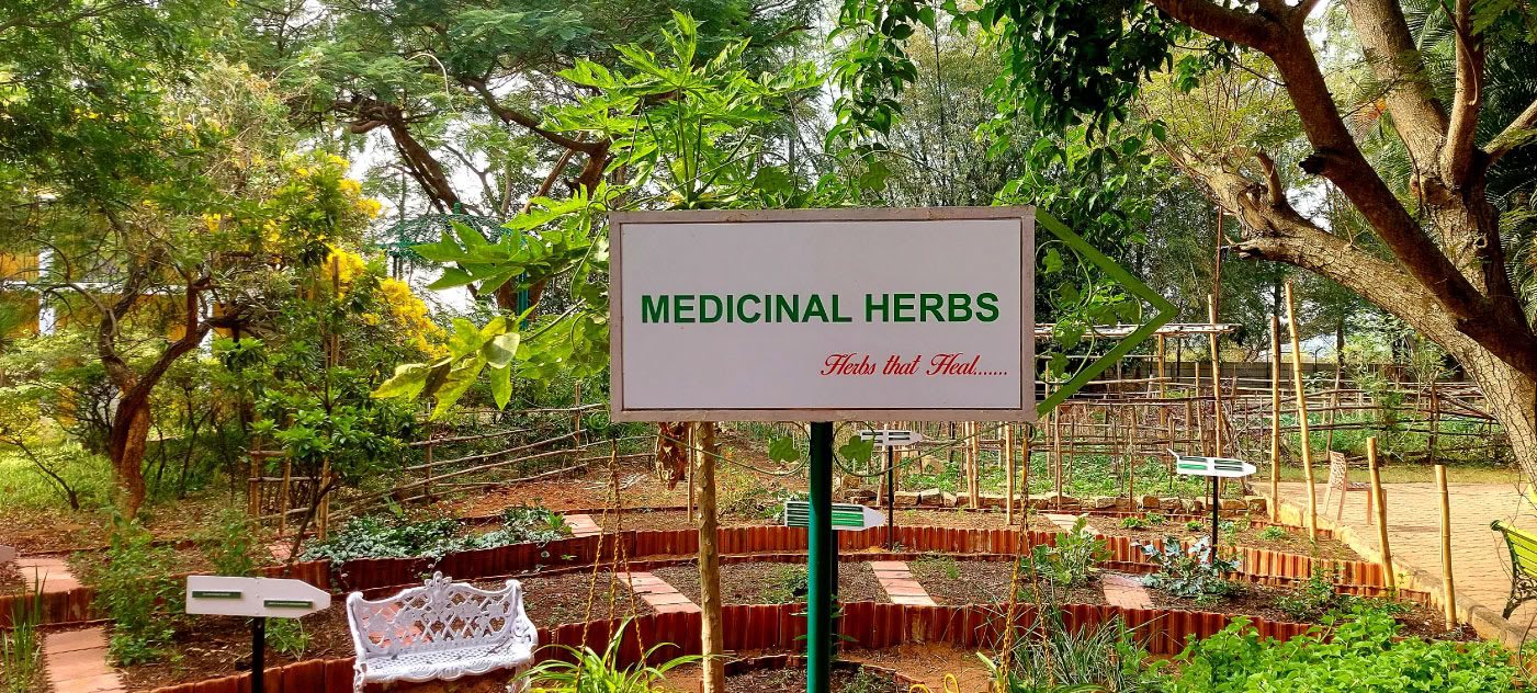 Ayurveda Culinary Courses