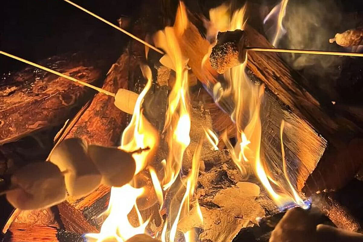 3 Day Body & Soul Glamping Retreat in Cotswolds, UK
