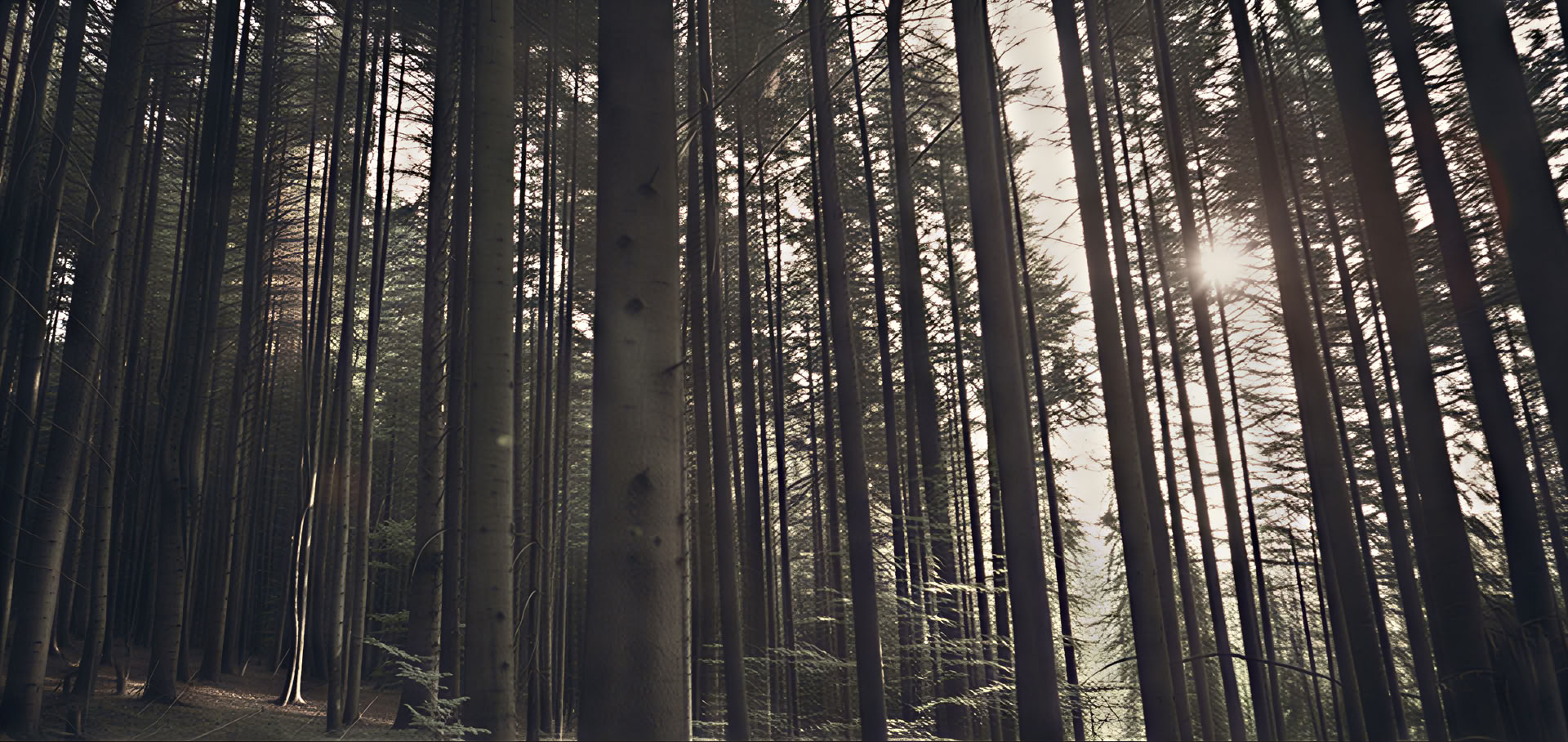 Healing from Within Retreat