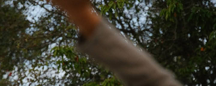 Yoga Retreat & Meditation Course Soul 1