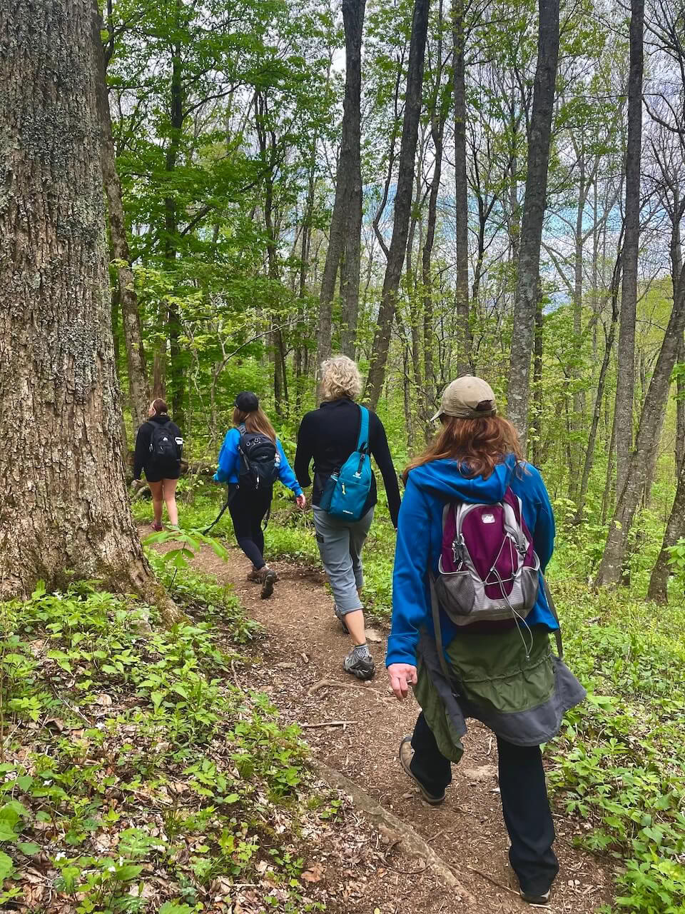 Nature & Bliss – Yoga Retreat in North Carolina