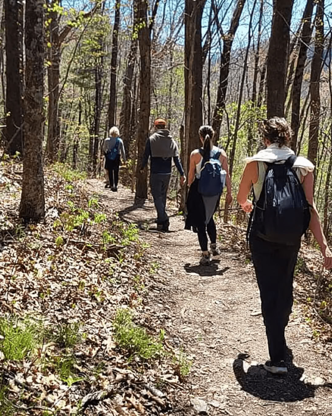 Nature & Bliss – Yoga Retreat in North Carolina