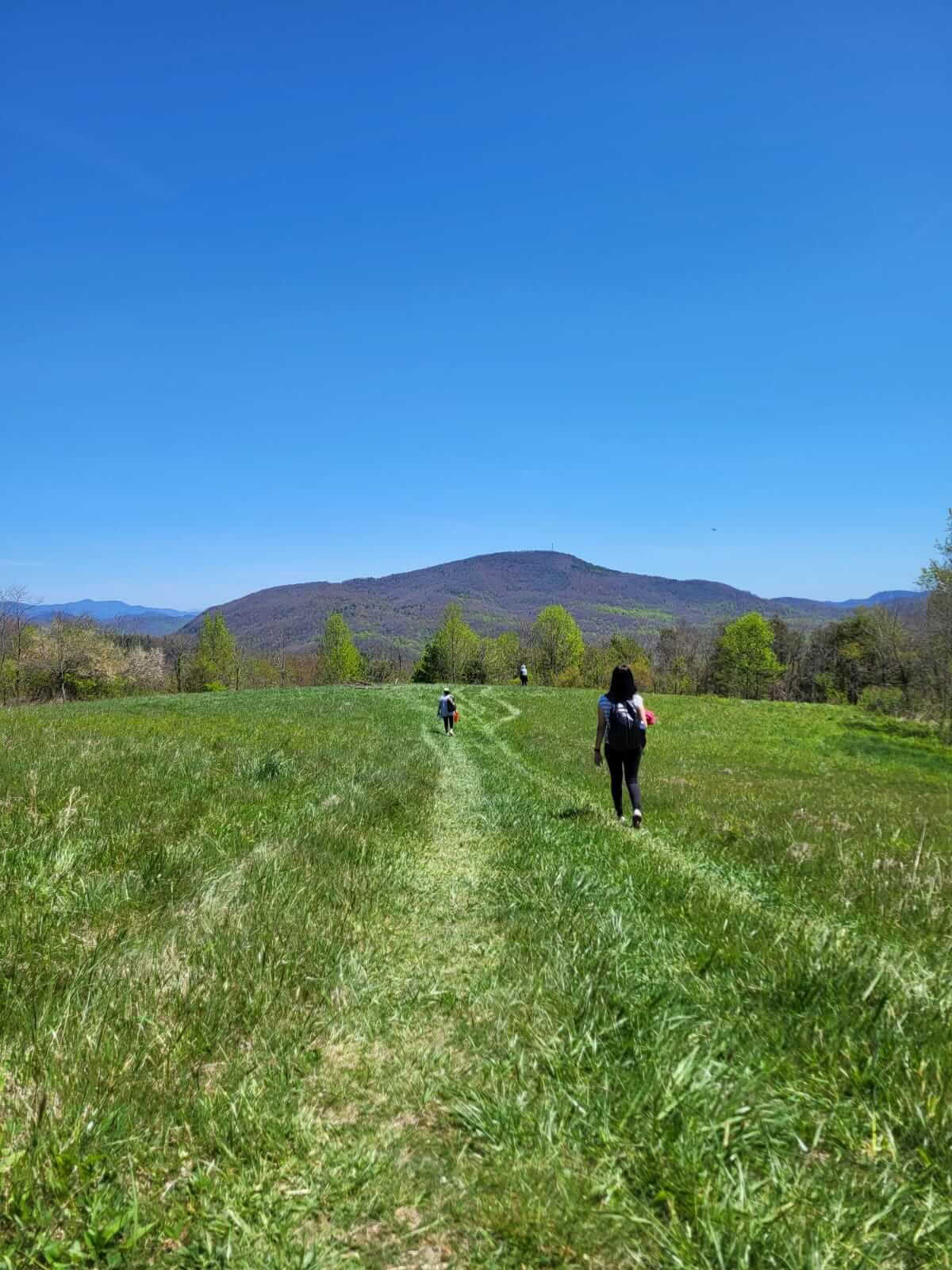 Nature & Bliss – Yoga Retreat in North Carolina