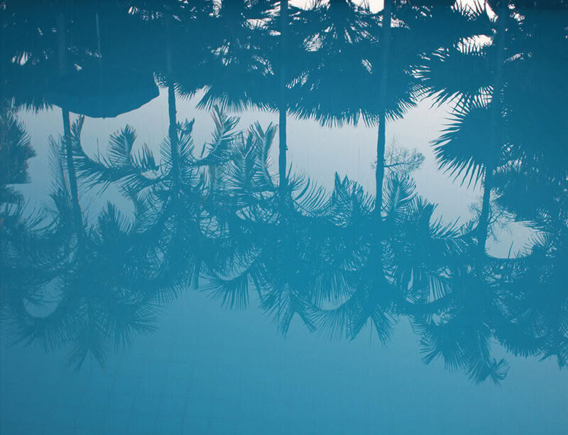 Yoga & Freediving Retreat