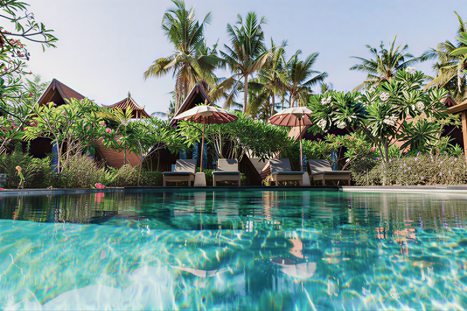 Yoga & Freediving Retreat