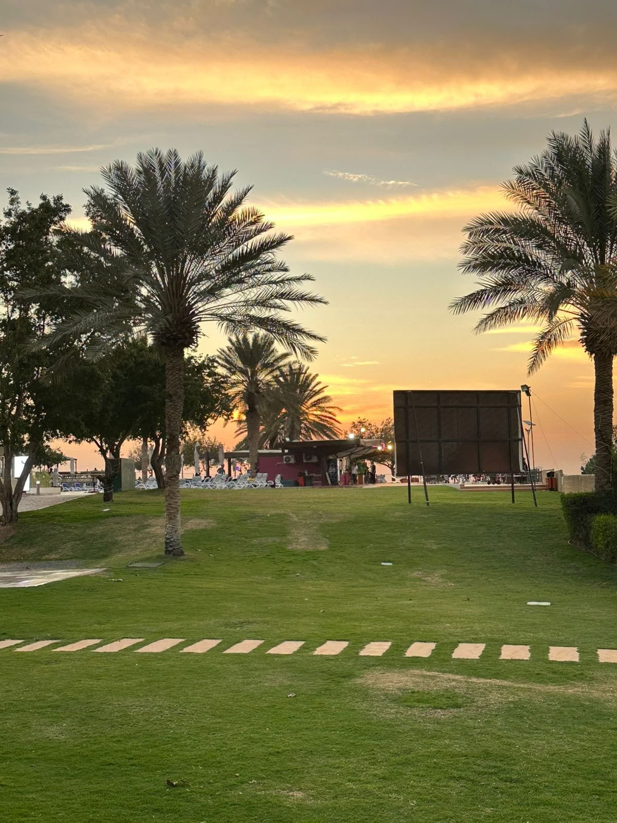 Sunset Yoga at Jubail Mangrove Park