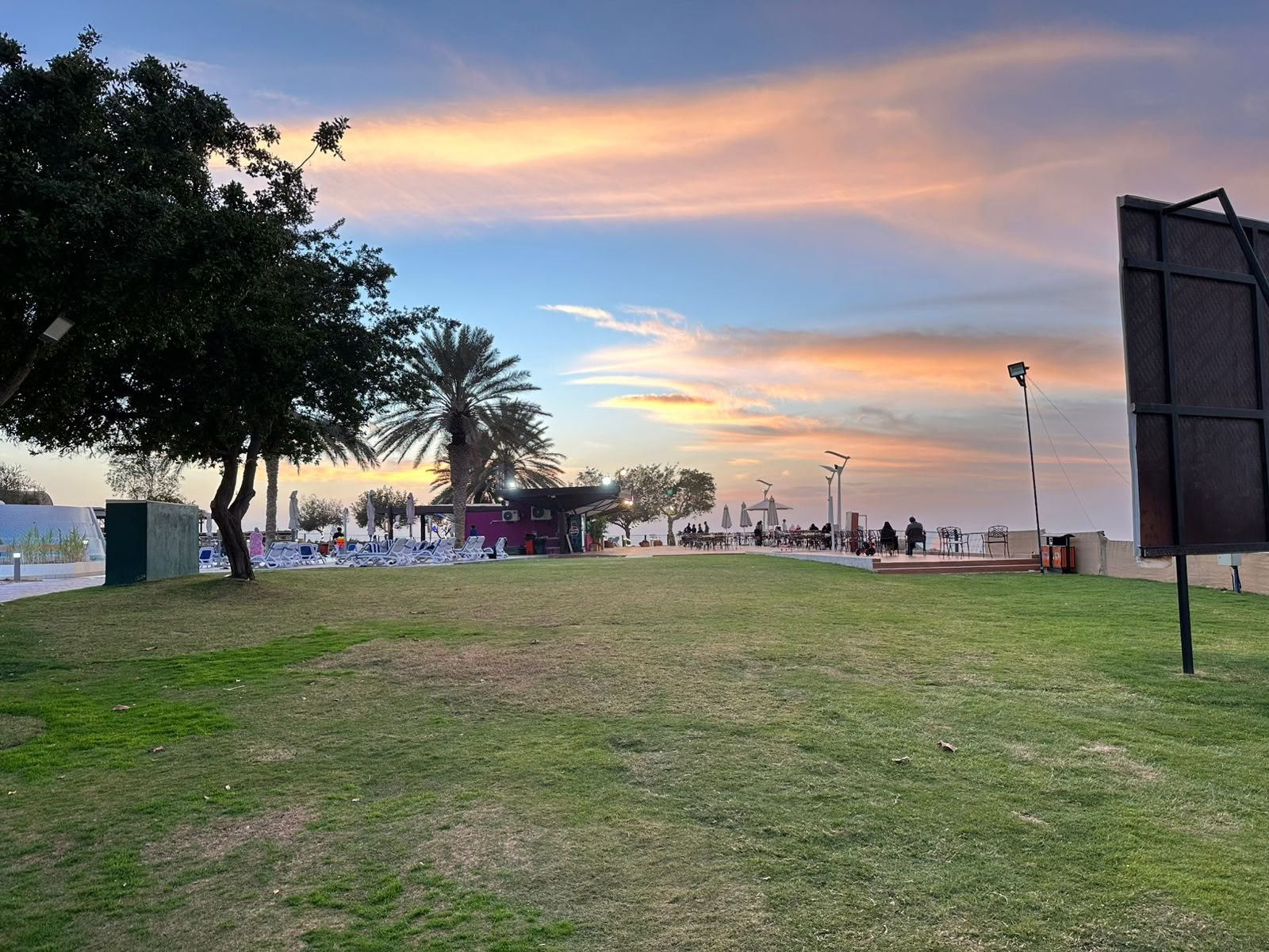 Sunset Yoga at Jubail Mangrove Park