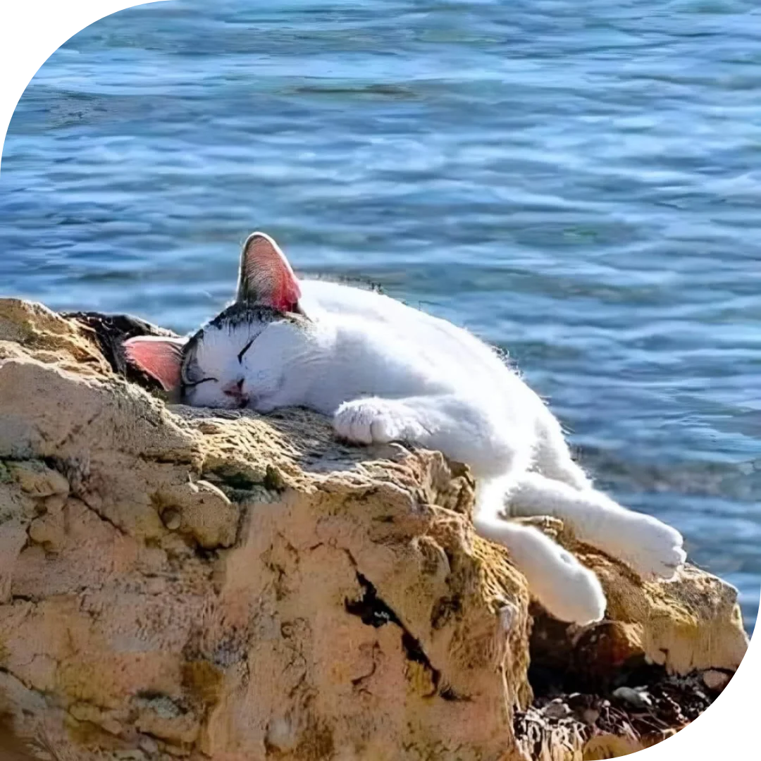 A Greek Islands Yoga Exploration 2027