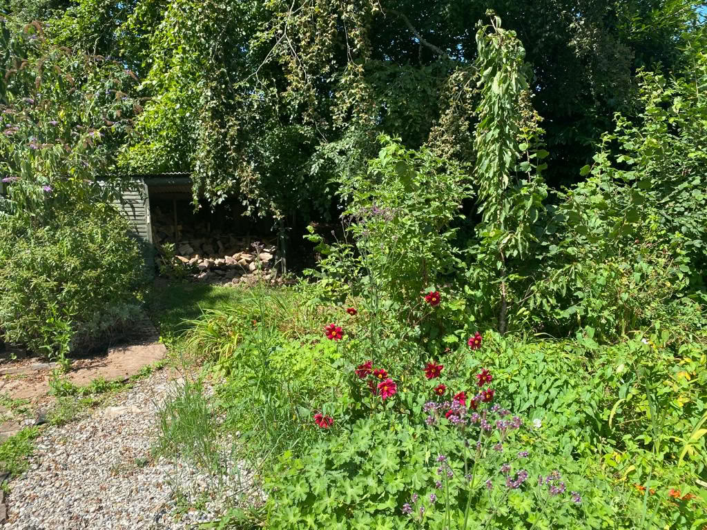 Nourishing & Reviving Yoga Retreats