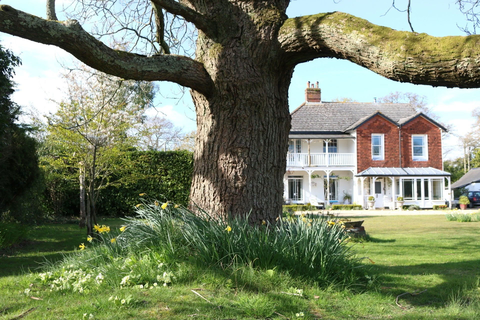 Yoga, Walking & Pottery Retreat in the New Forest, Hampshire