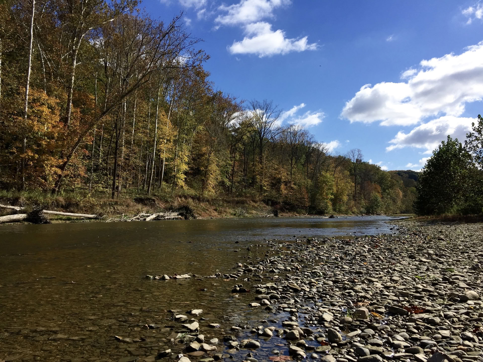 ALLIOM FALL EQUINOX YOGA 2026 — Sugar Creek Retreat