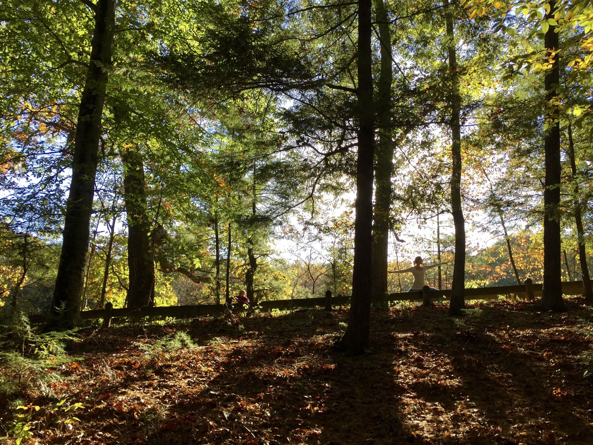 ALLIOM FALL EQUINOX YOGA 2026