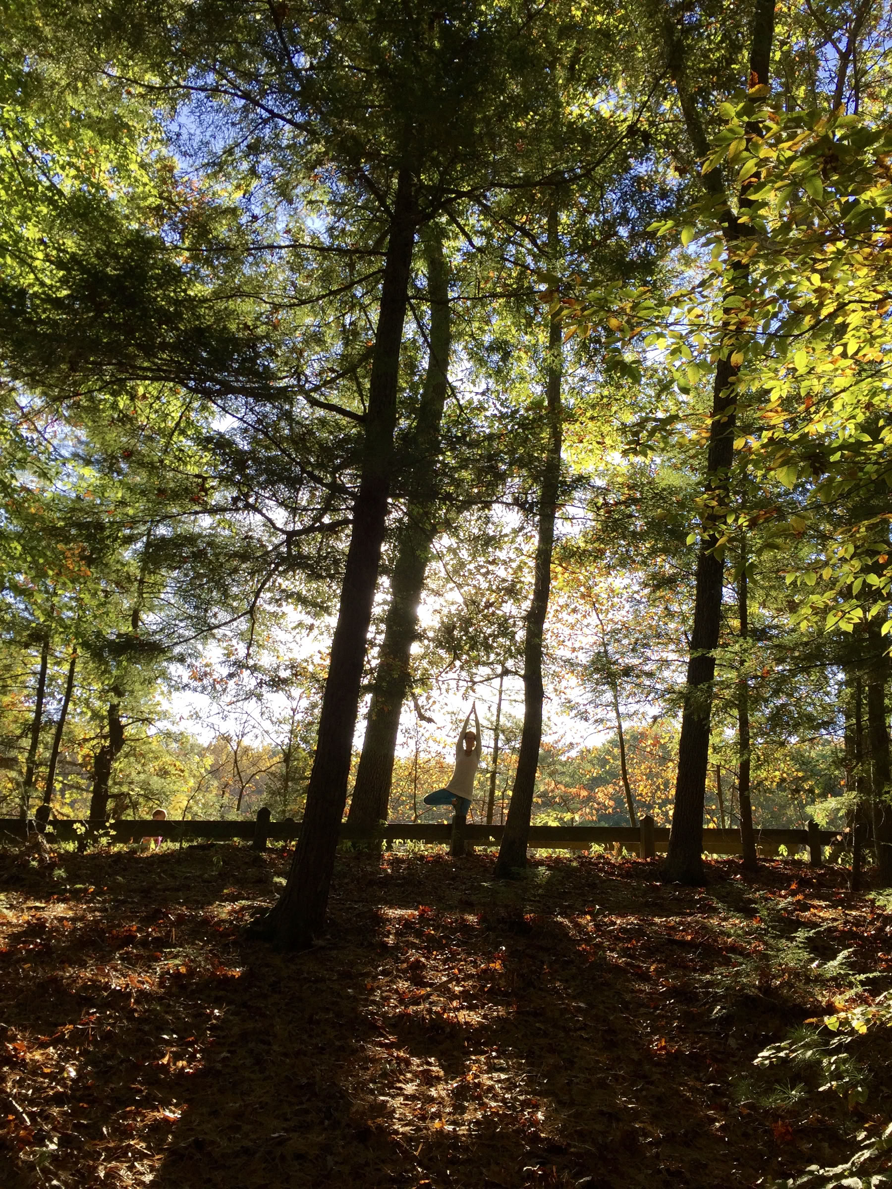 ALLIOM FALL EQUINOX YOGA 2026