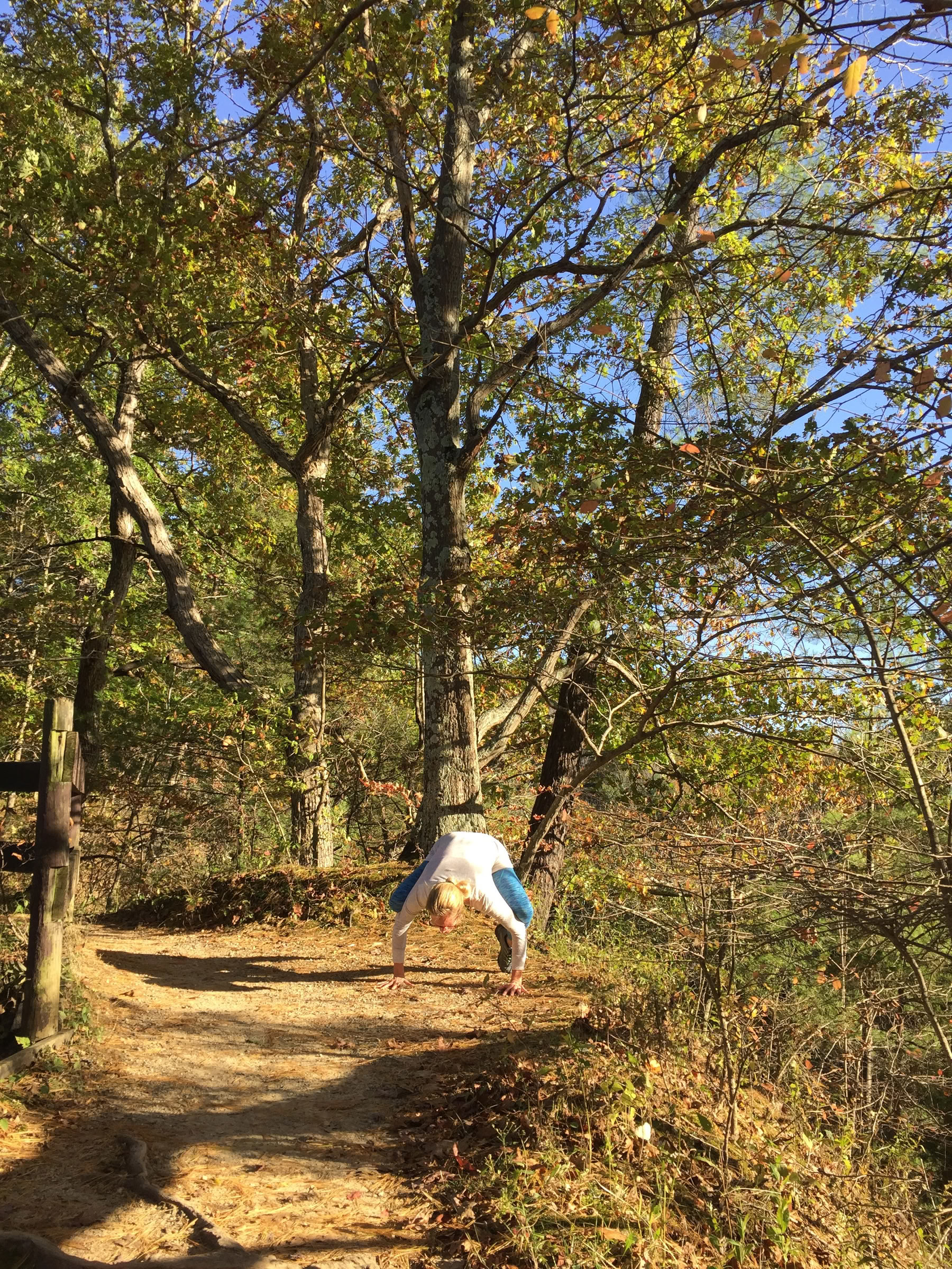 ALLIOM FALL EQUINOX YOGA 2026