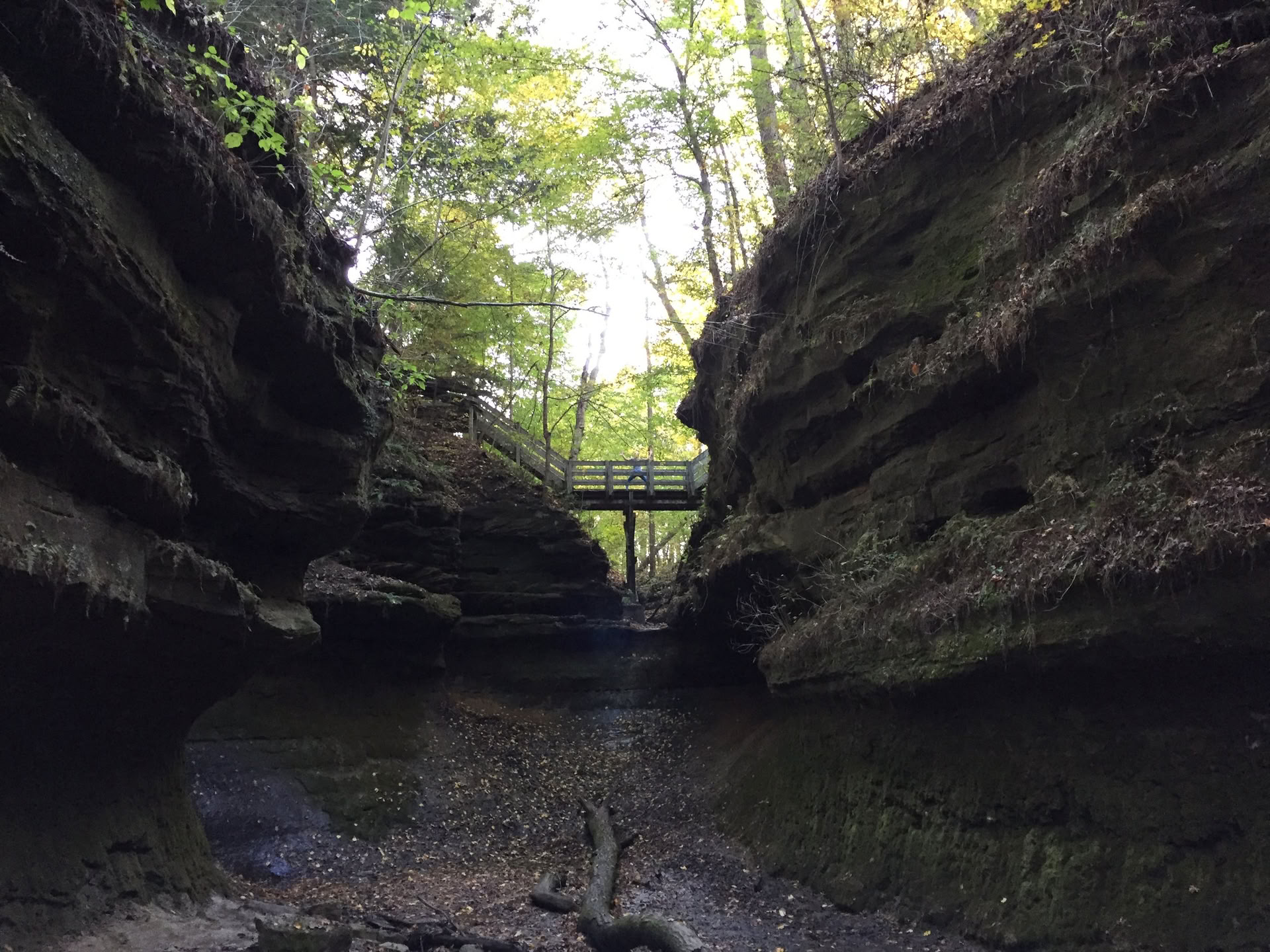 ALLIOM FALL EQUINOX YOGA 2026