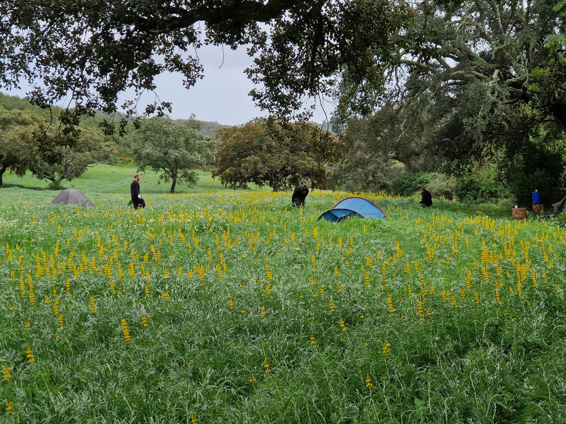 Weekend Survival Course