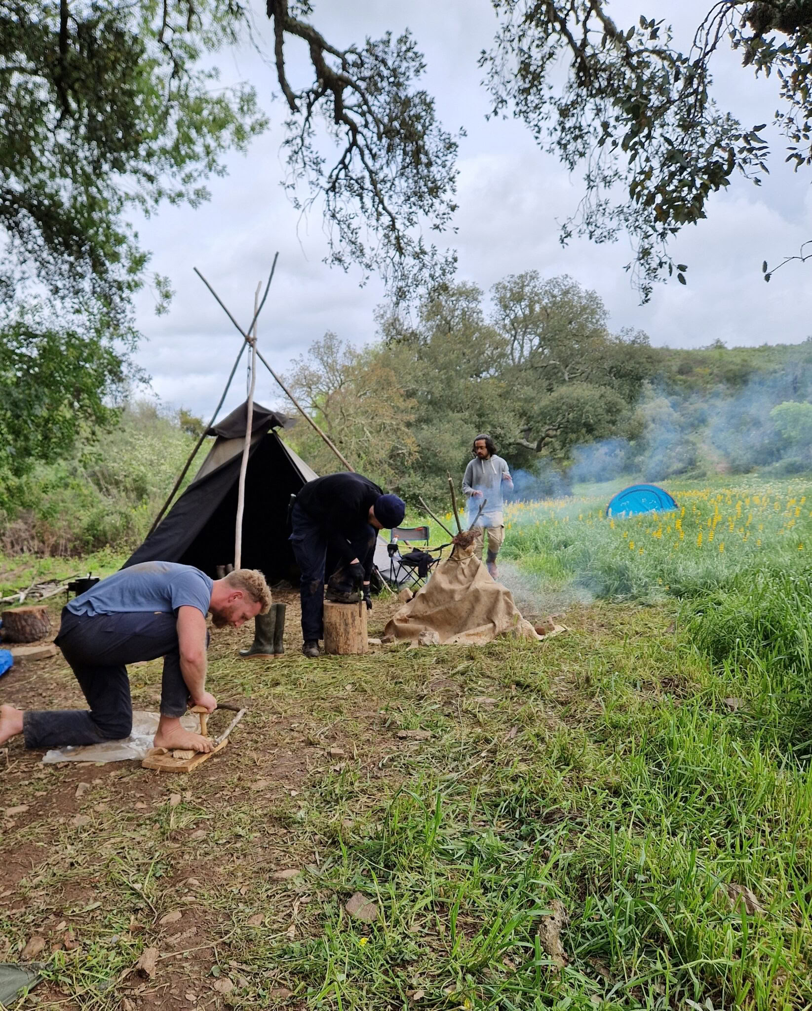 Essential Wilderness Survival