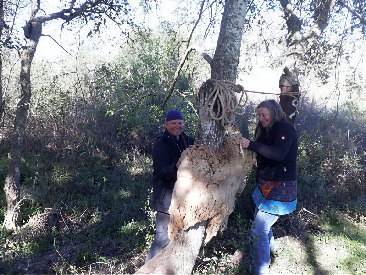 Essential Wilderness Survival