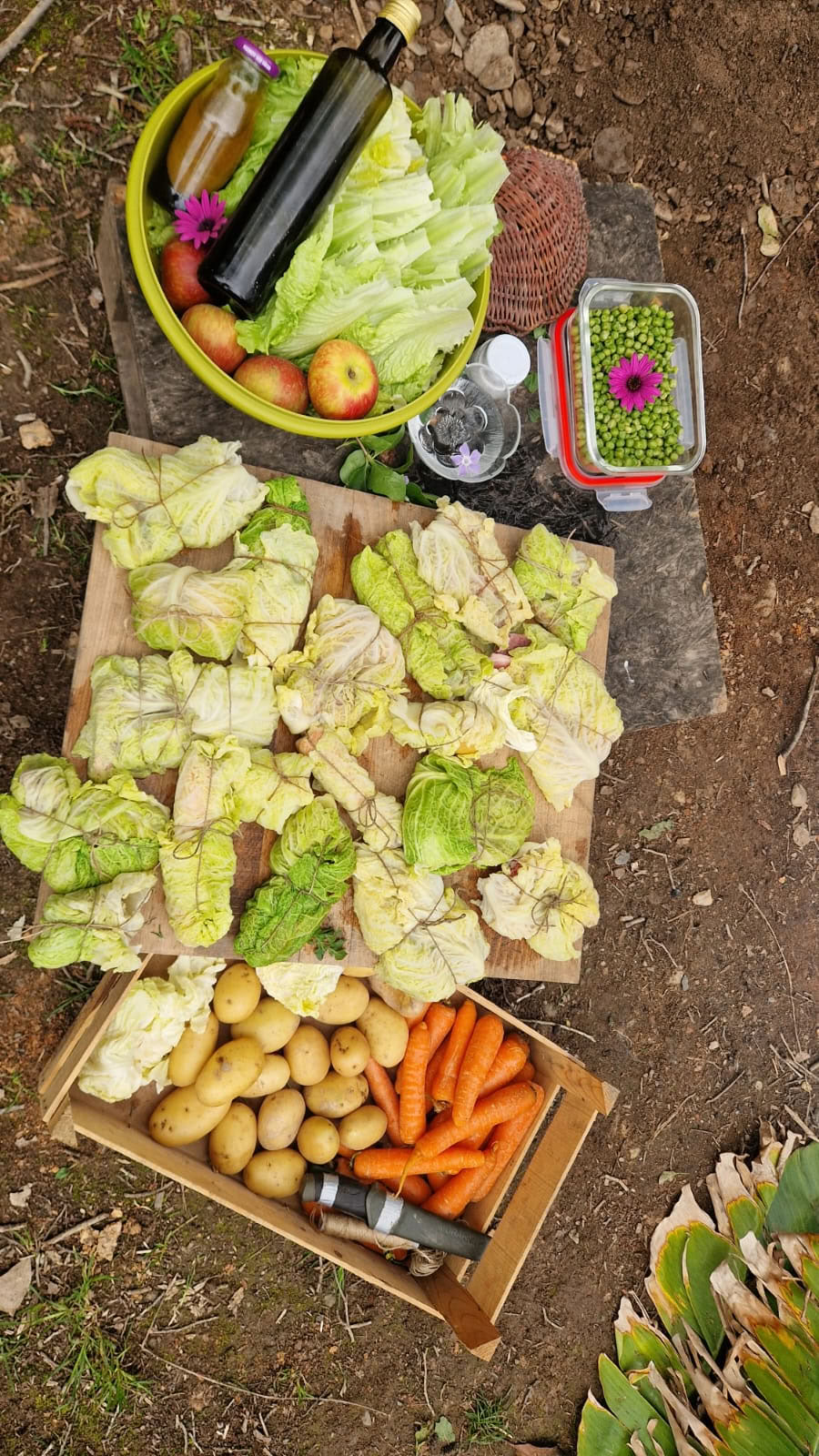 Outdoor Cooking