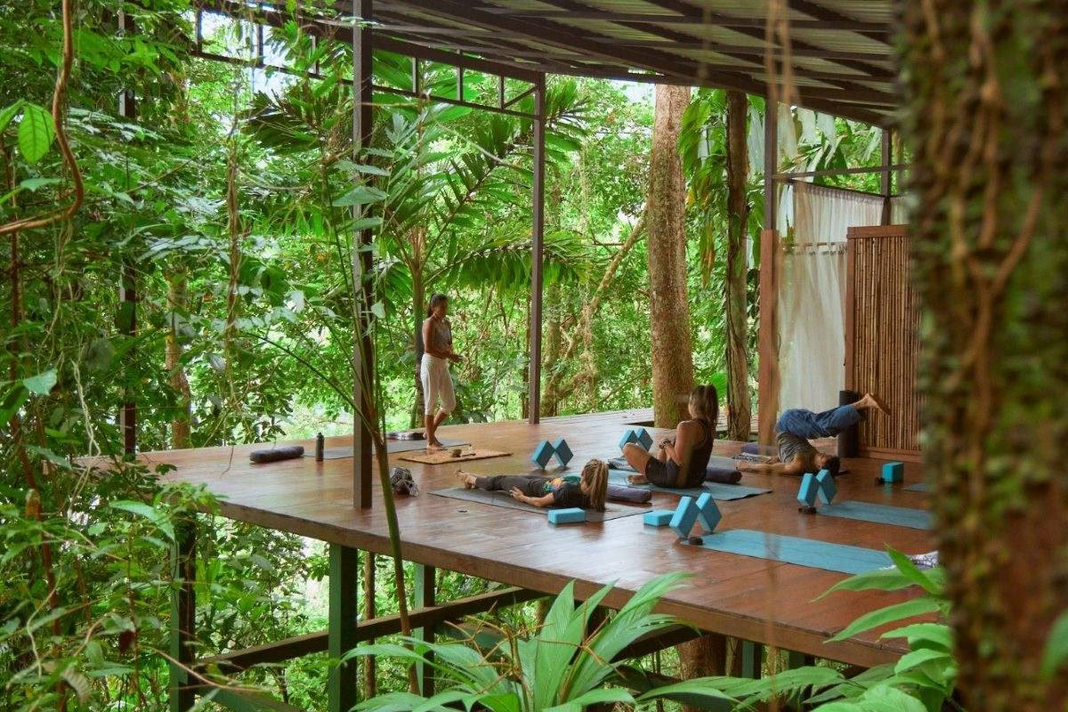 Refresh Your Soul Hatha Yoga Retreat with Fran Gallo