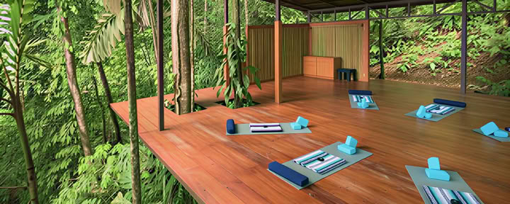 Solace in Yoga Retreat with Elena