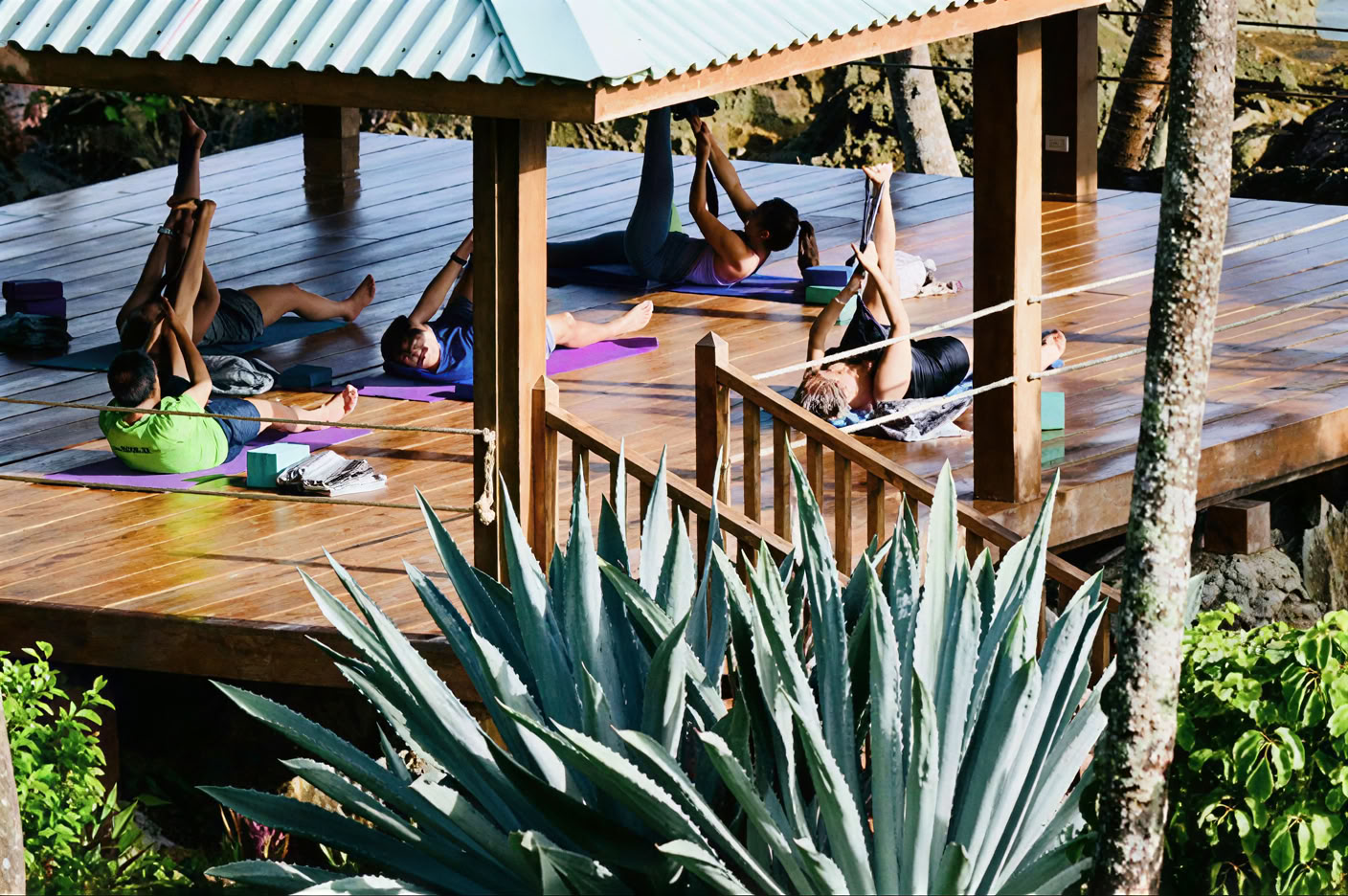 "Winter Bliss" Retreat in the Dominican Republic, January 11 – 16, 2027, with Argentina Rosado