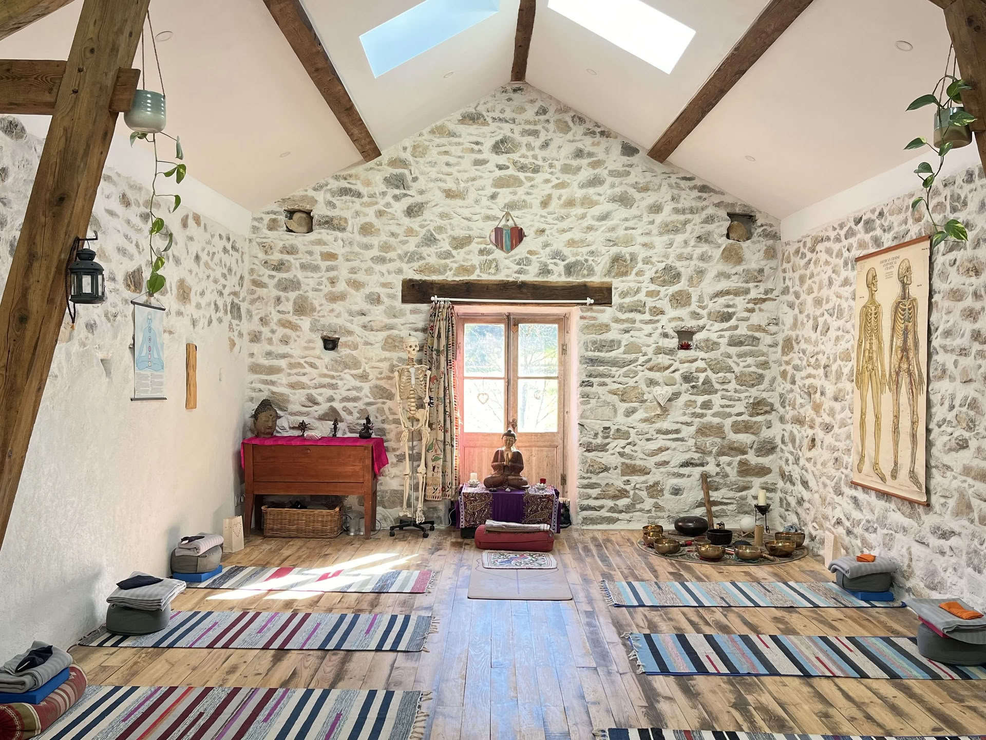 Yoga, Mindfulness and Nature Connection Workshops