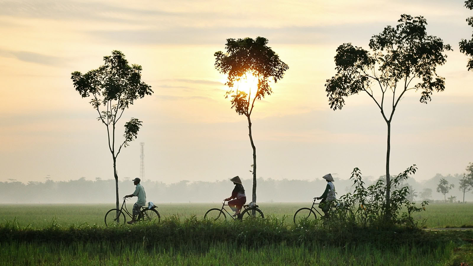 Enriching Yoga Retreat & Hiking in Vietnam 2026