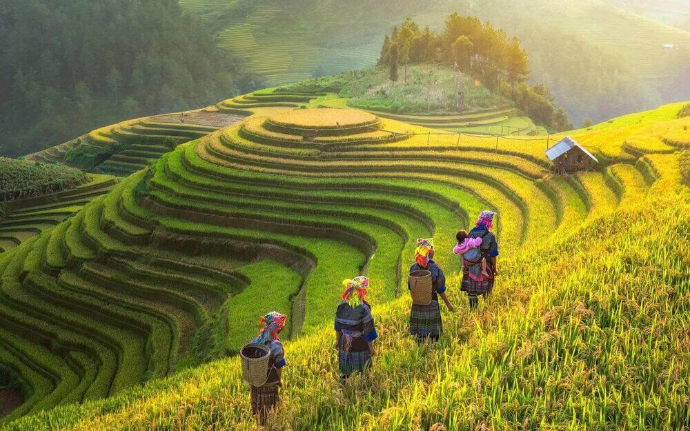 Enriching Yoga Retreat & Hiking in Vietnam 2026