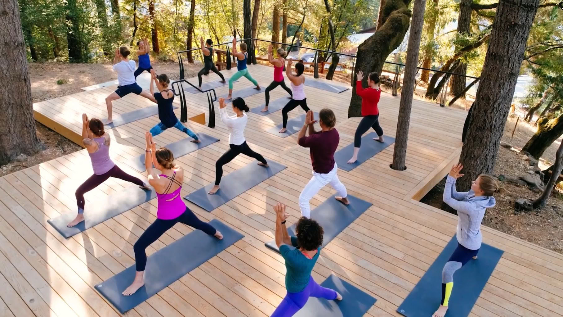 Discovery Dinner: Shift Your Heart Health with Dr. Darla Booth