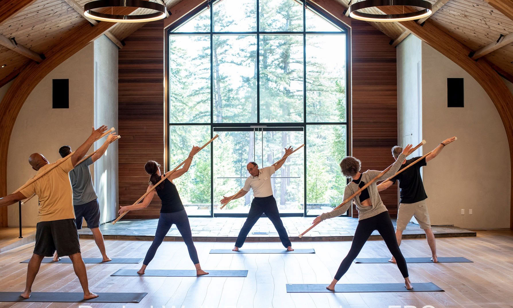 Theradelic Retreats: Self-Leadership Transformation