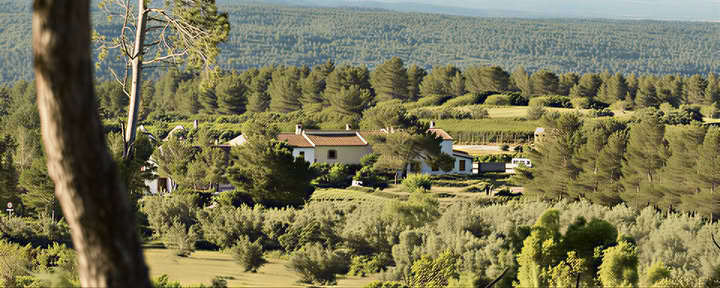 Silence Retreat