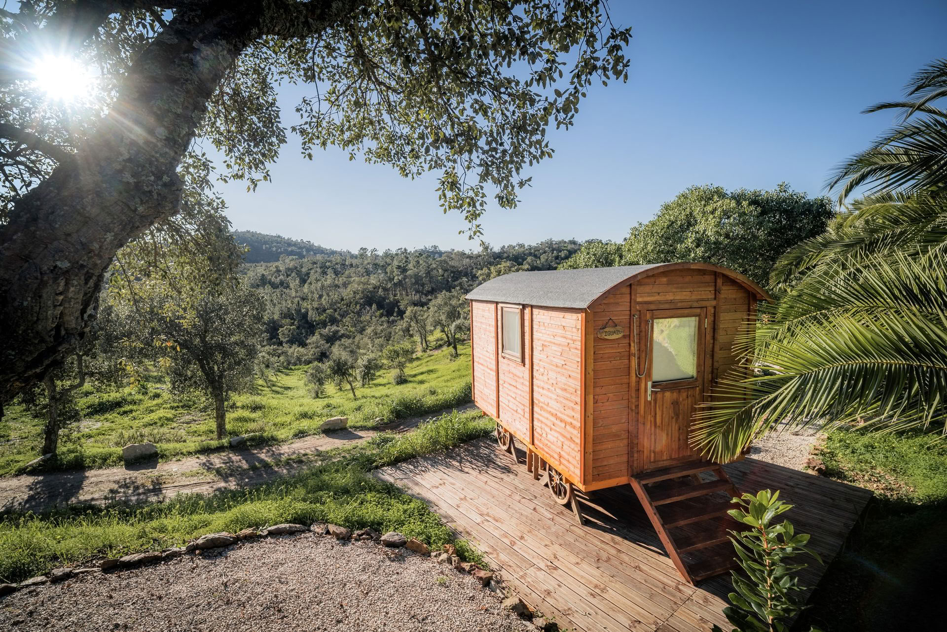 The Wild & Free Retreat