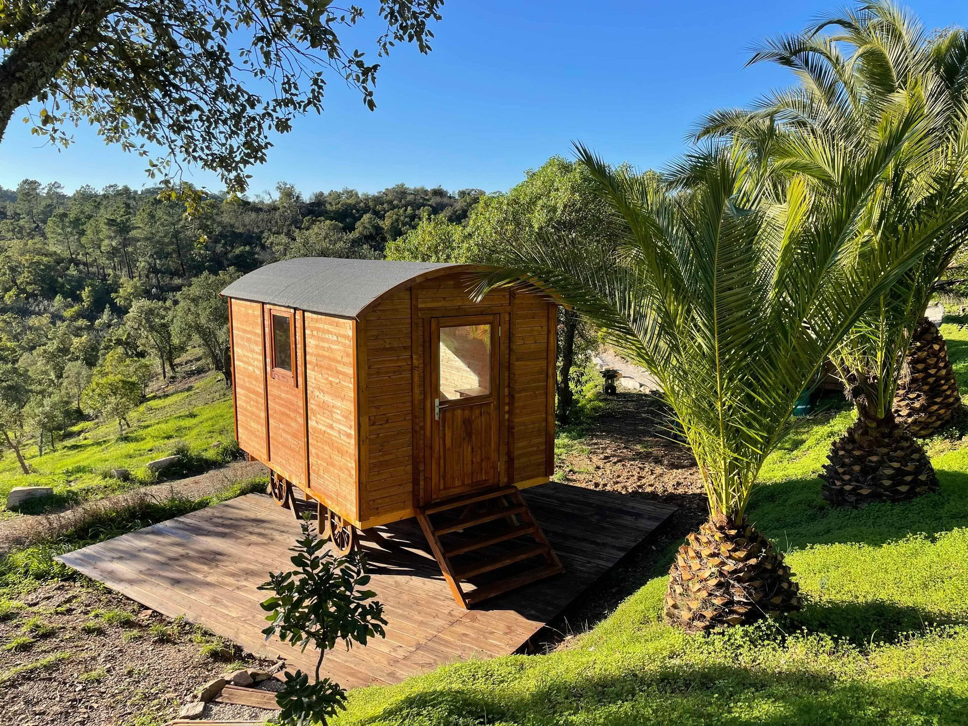 The Wild & Free Retreat